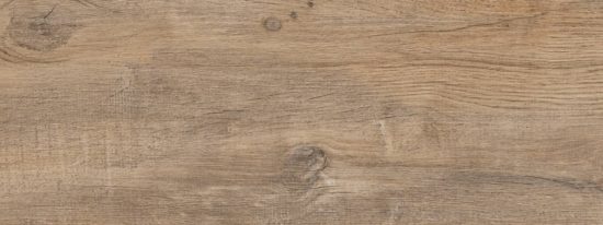 Nebraska Elm | Xana System