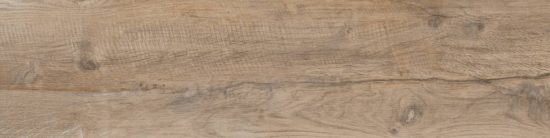 Nebraska Elm | Xana System