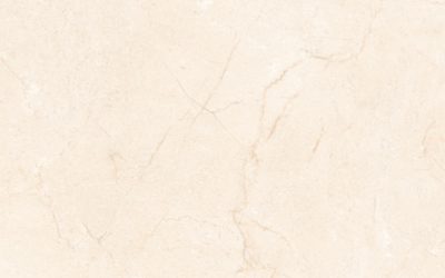 Rev. Medea 25×40 Marfil